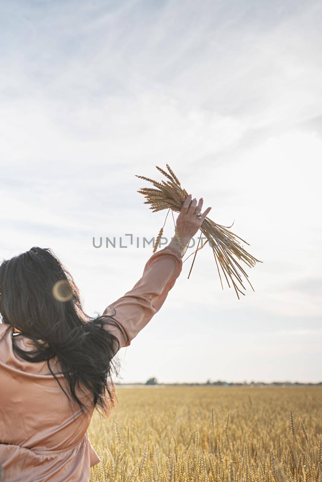 Mid adult woman in beige shirt walking across golden field holding heap of rye lit by sunset light, copy space