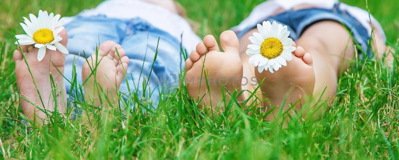 Children's feet with chamomile on green grass. Selective focus. by yanadjana