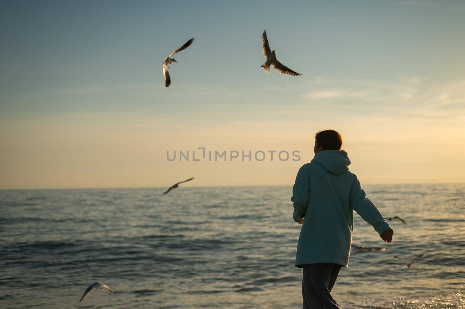 Caucasian woman feeding seagulls at sunset by the sea