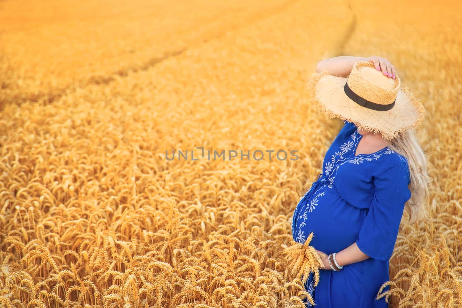 Pregnant woman in a wheat field. Selective focus. by yanadjana