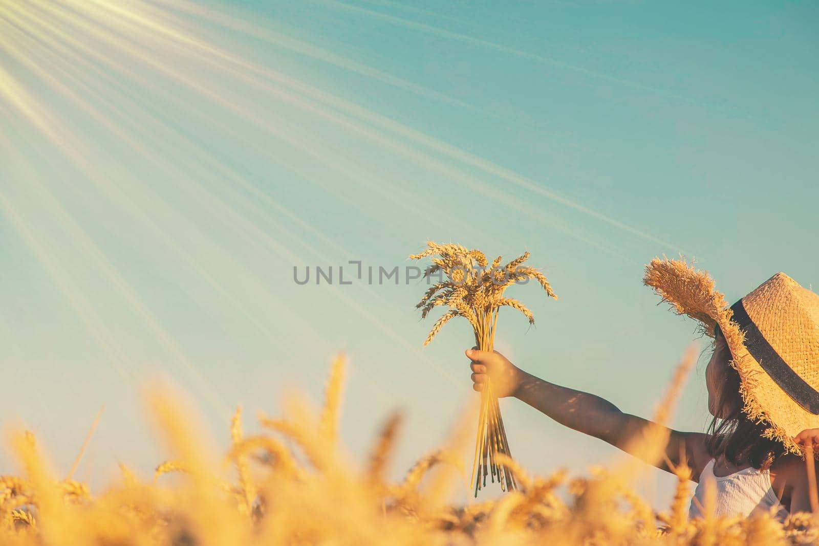 A child in a wheat field. Selective focus. by yanadjana