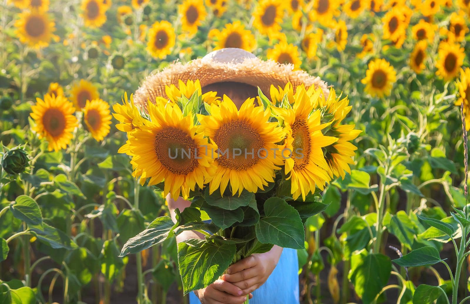 Child in a field of blooming sunflowers. Selective focus. nature.