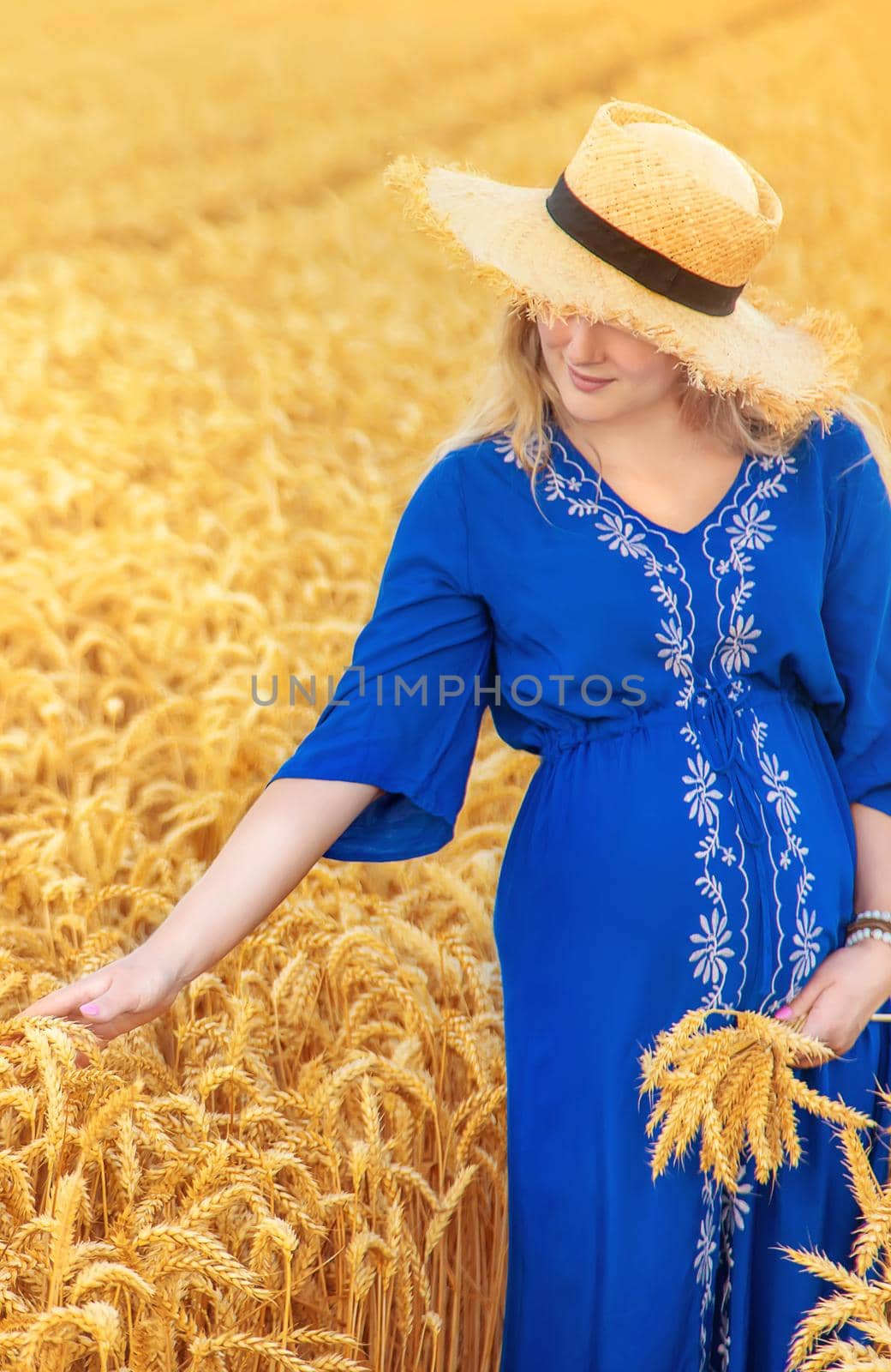 Pregnant woman in a wheat field. Selective focus. nature.