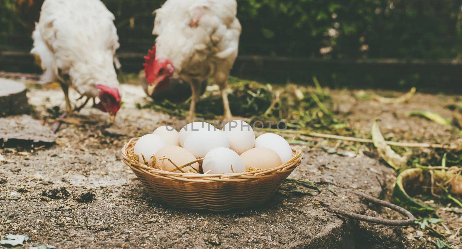 Homemade chicken eggs in a basket. Selective focus. nature.