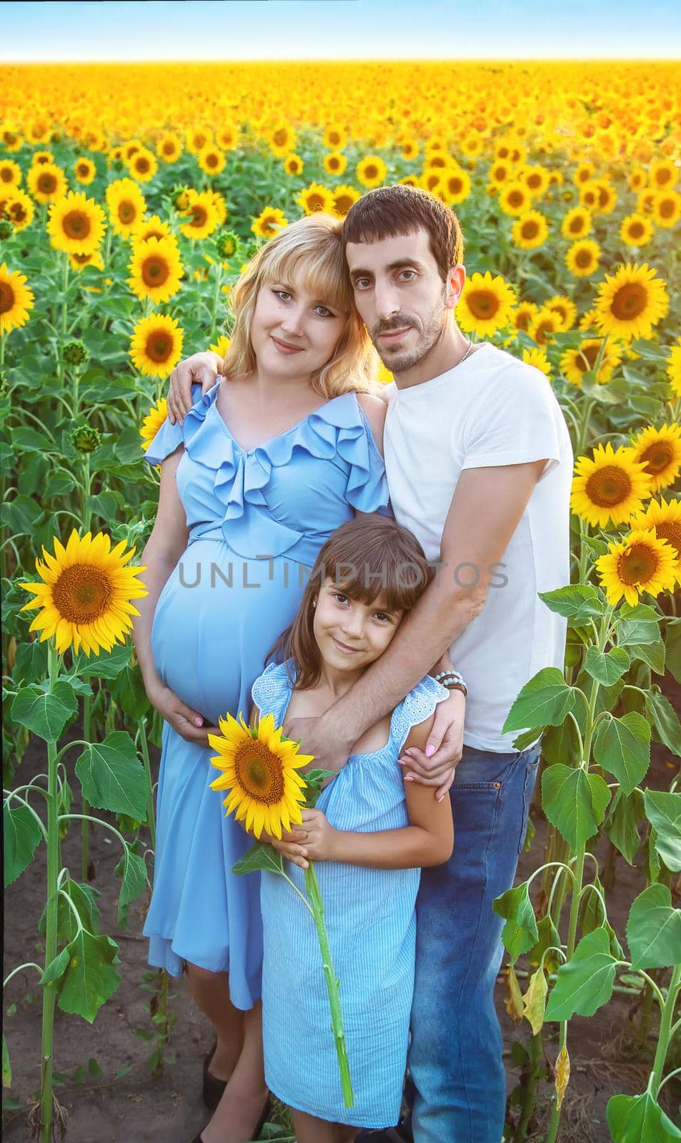 Family photo in a field of sunflowers Selective focus.