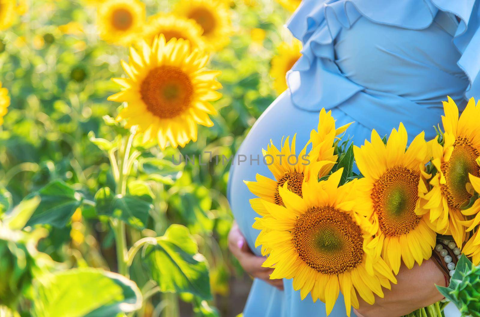 A pregnant woman in a field of sunflowers. Selective focus. nature.