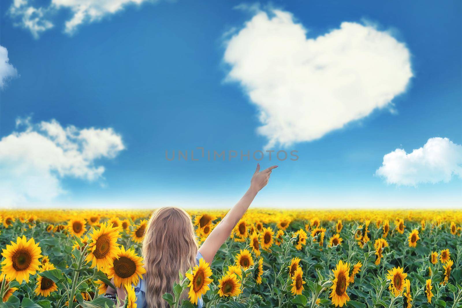 Girl sunflowers field heart clouds. Selective focus. by yanadjana