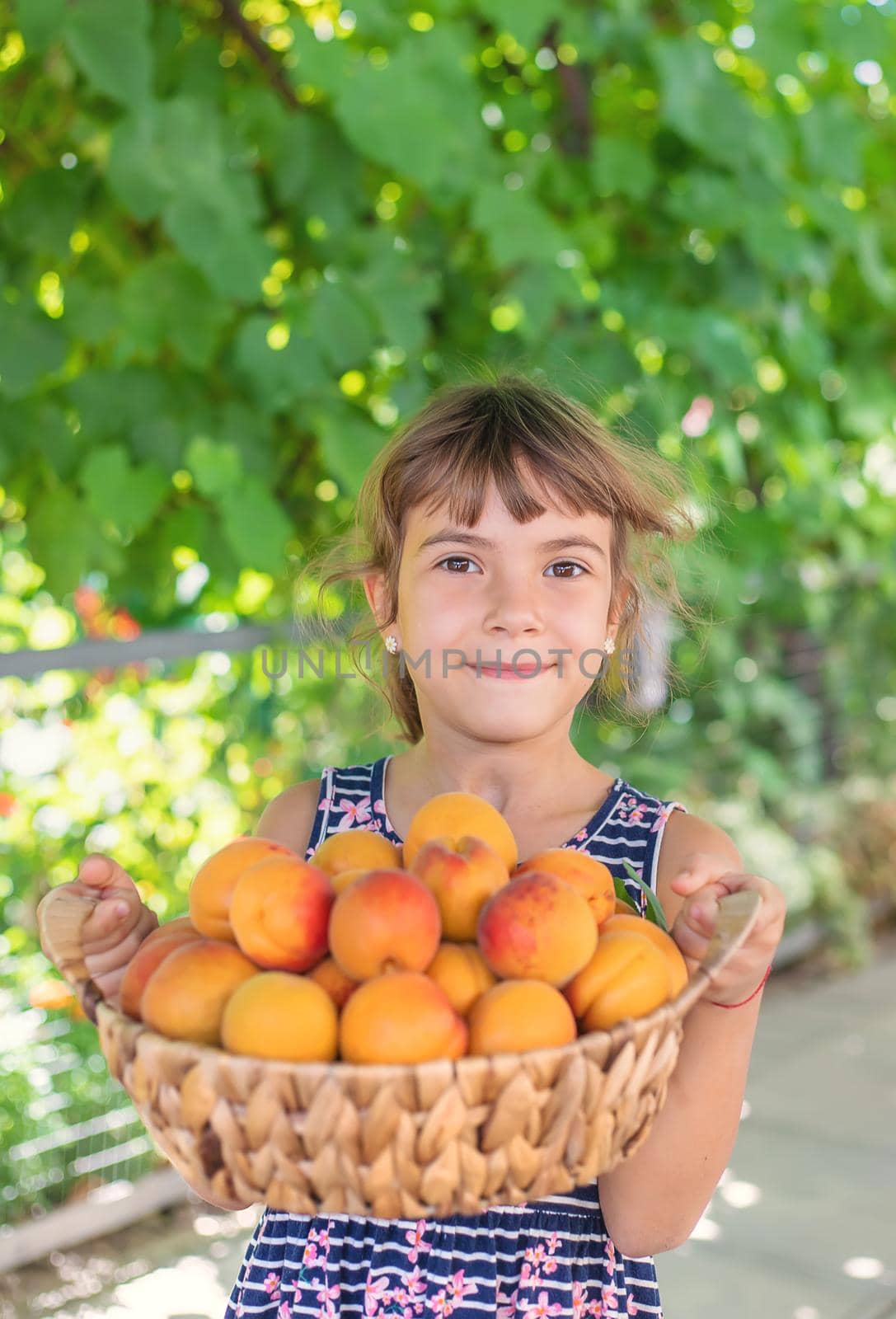 Child with apricots gardener harvest. Selective focus. by yanadjana
