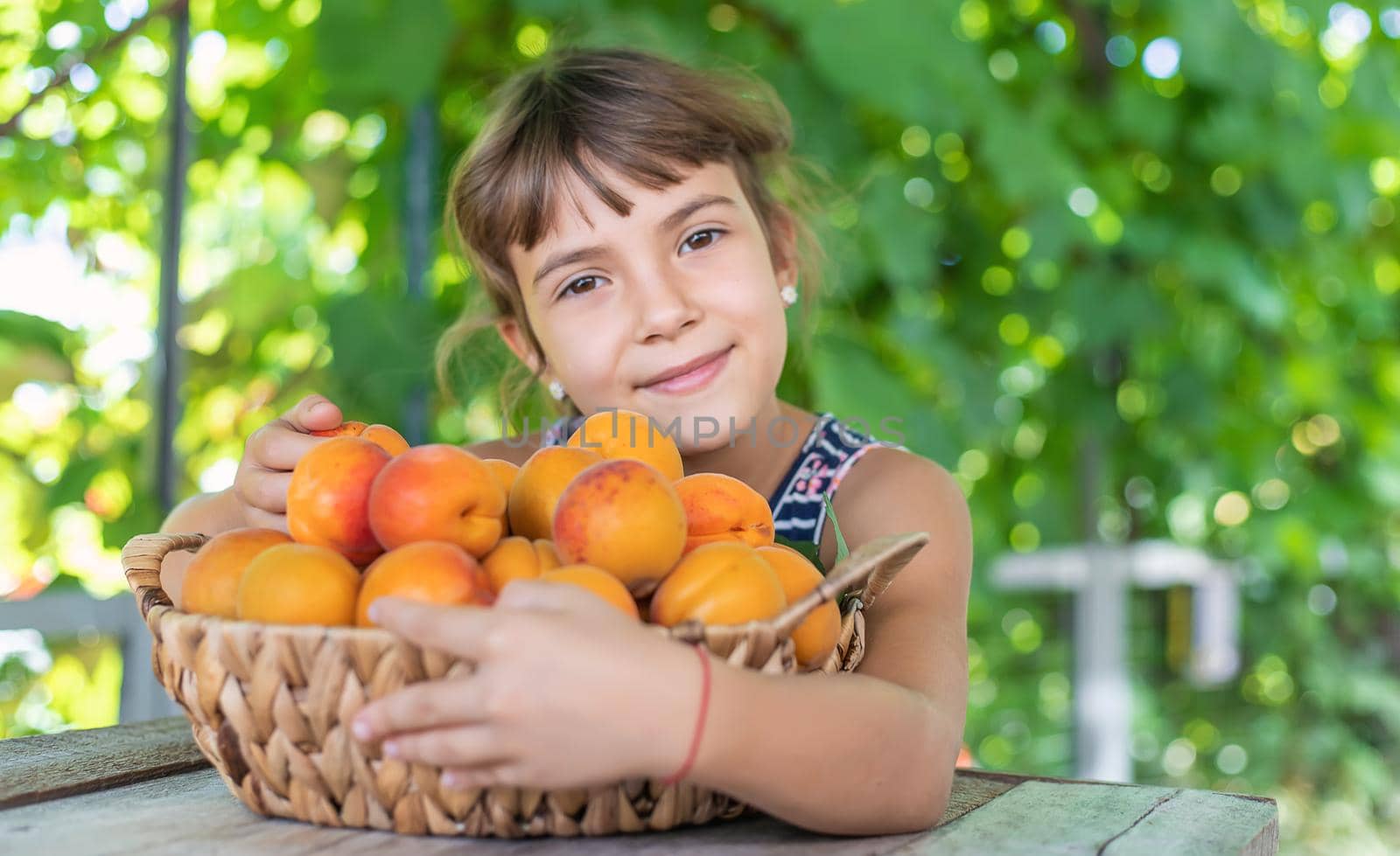 Child with apricots gardener harvest. Selective focus. by yanadjana