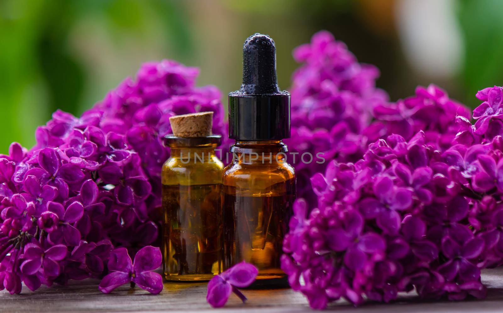 Lilac essential oil in a small bottle. Selective focus. Nature.