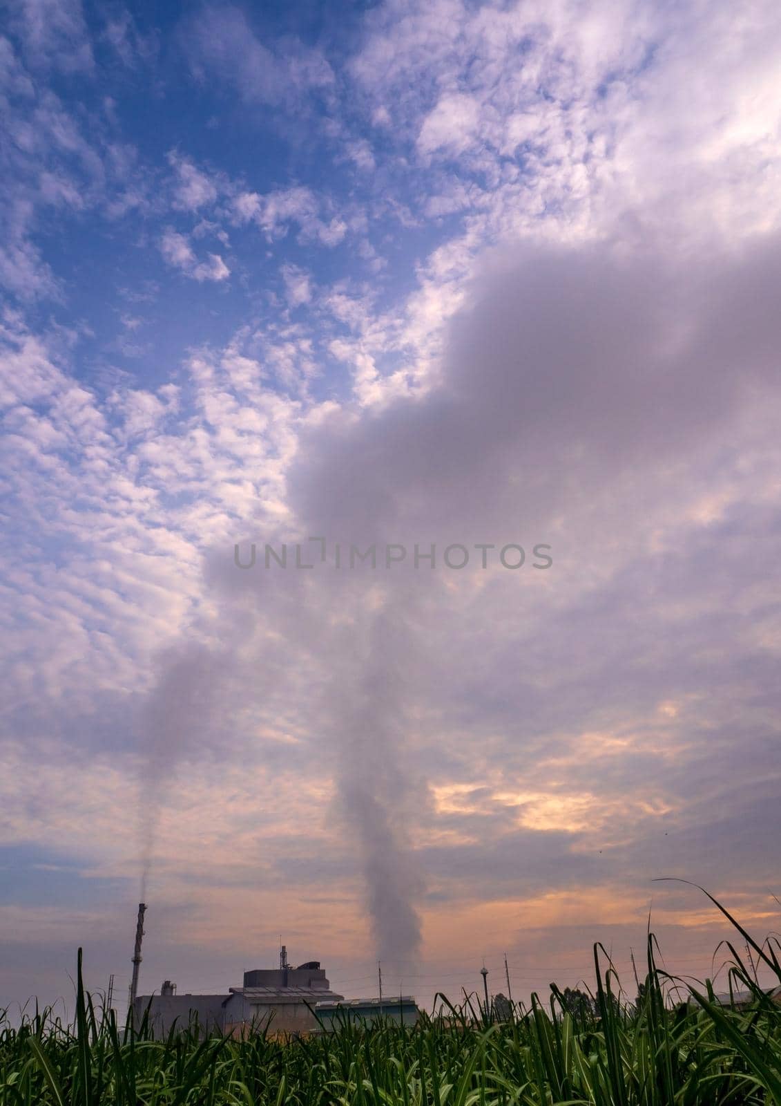 Smoke from the boiler and the steam from the cooling tower in the power plant. It is located in the middle of an agricultural area