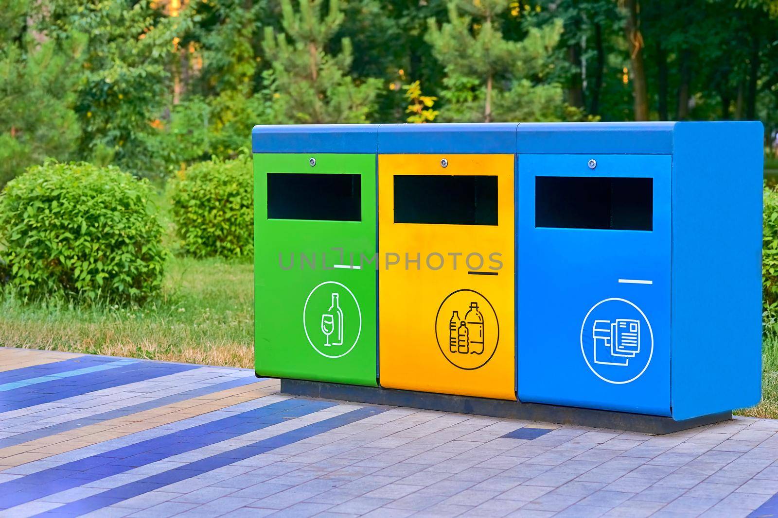 the branch of biology that deals with the relations of organisms to one another and to their physical surroundings. Ecology. Separate waste containers for plastic, paper and glass in a summer park.