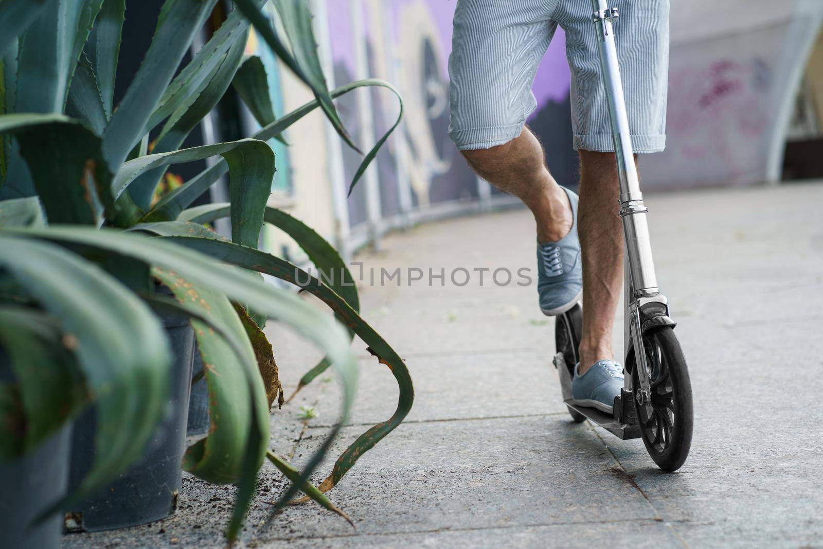 Close up of man riding on town adult scooter with big wheels in a stylish sneakers on the streets or park with long sword like long agave plant after work outdoors. No face visible. Focus on wheel.