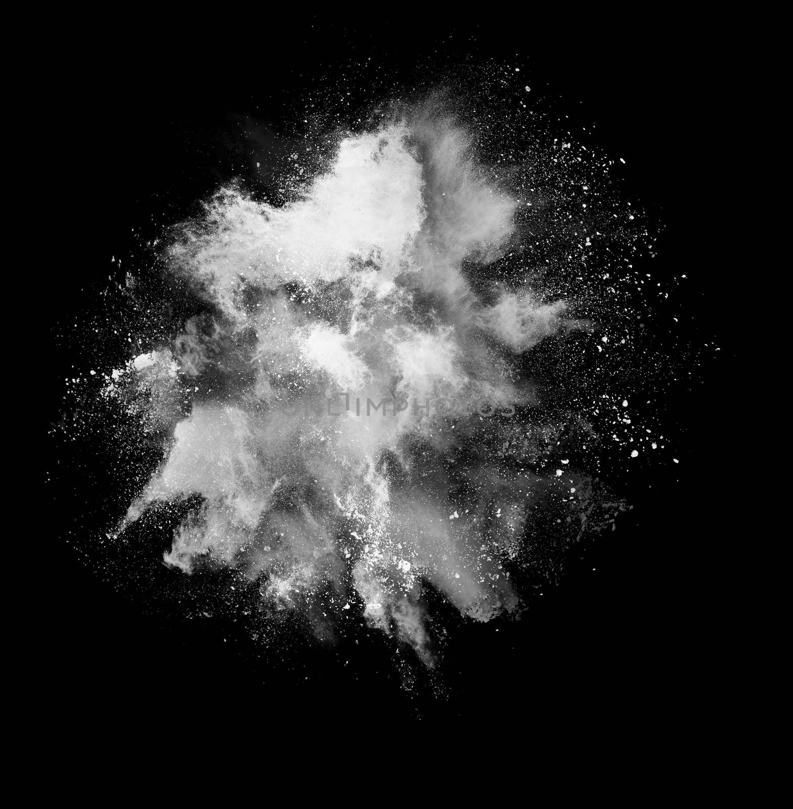 Black and white holi paint powder explosion isolated on black background by Mariakray