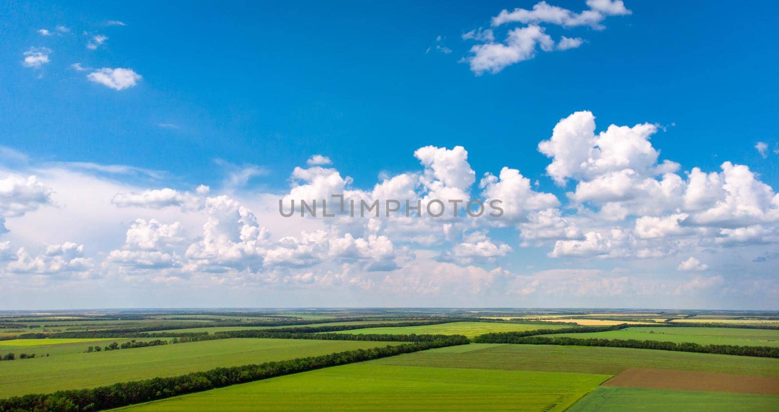beautiful agriculture fields, green and yellow fields meadows. Rural landscape with beautiful clouds.