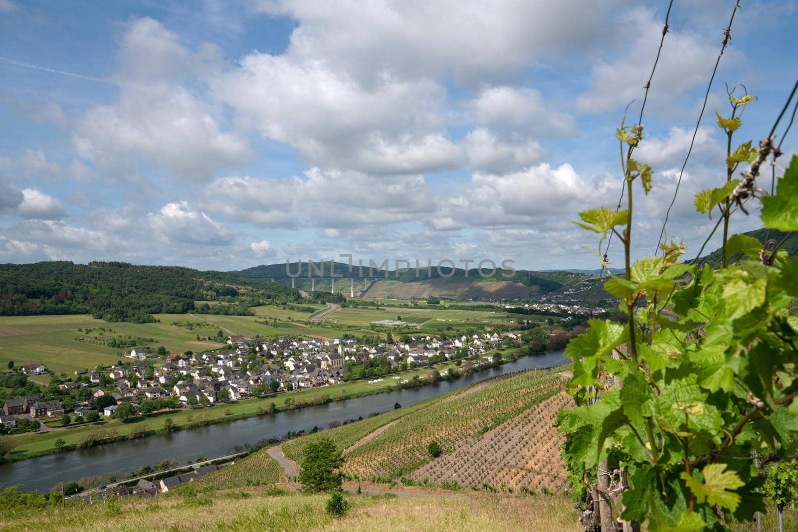 Moselle river close to Traben Trarbach, Germany by alfotokunst