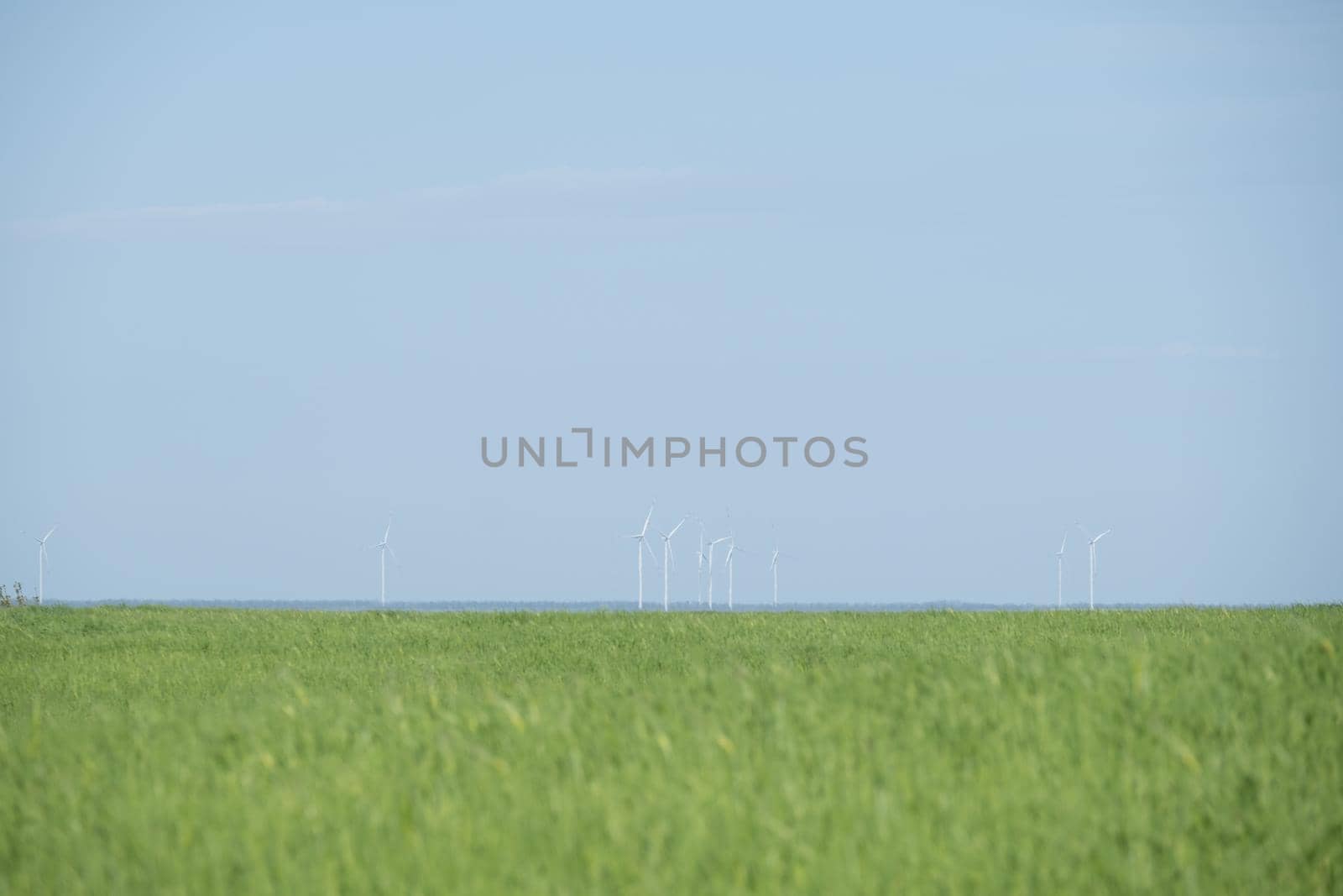 Wind mills farm on warm sunny day. Renewable Energy Concept Windmills Farm at Sunset, Windmills for electric power production. Wind turbines generating electricity. Download photo