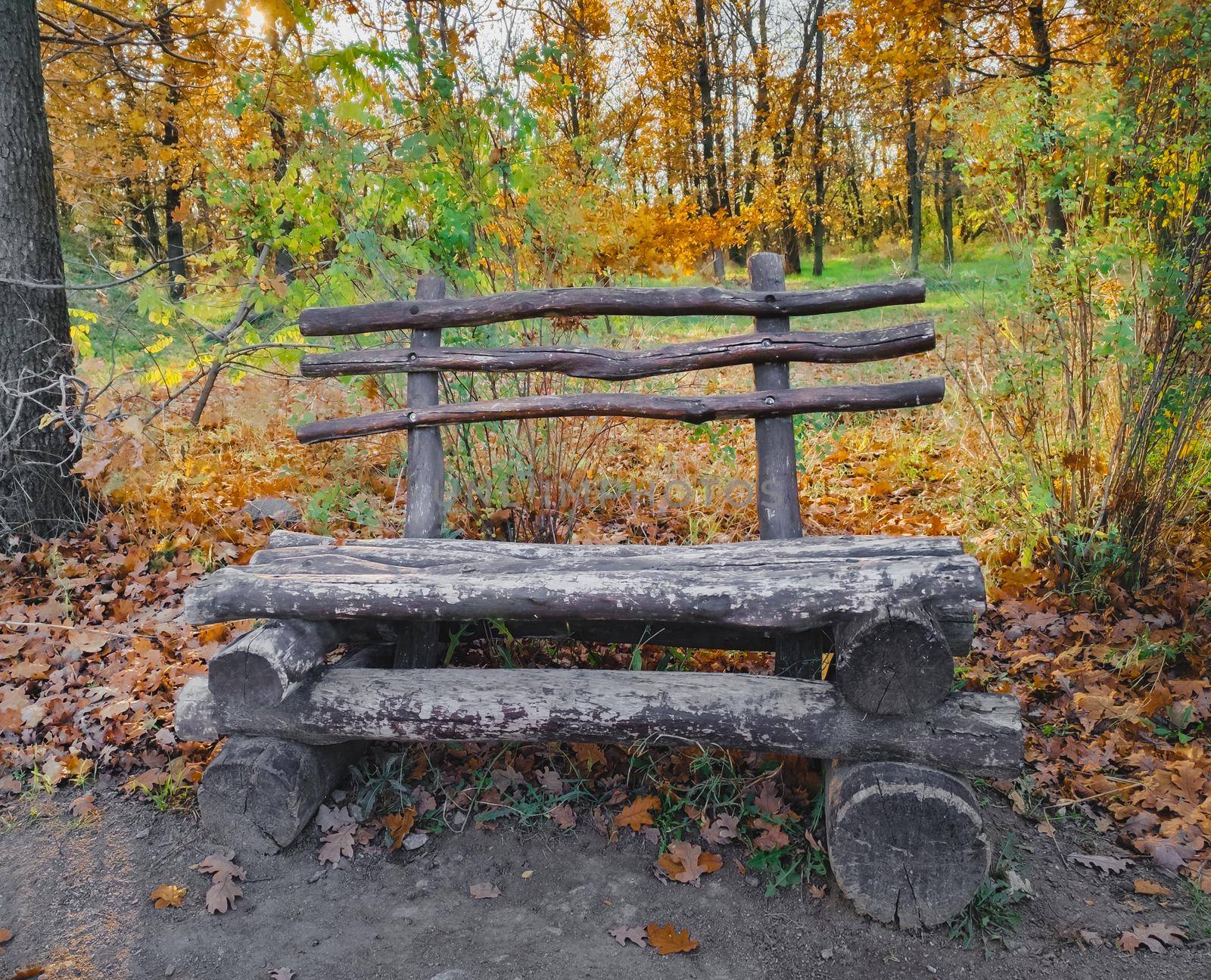 Forest wooden bench scene. Wooden bench in deep forest. Wooden bench in forest. bench in autumn park. empty bench in park