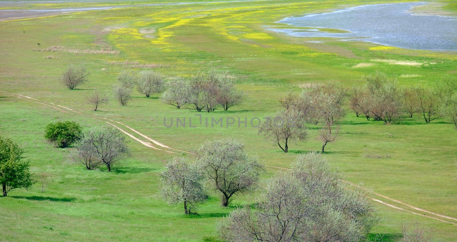 beautiful landscape of nature in spring or summer with road, water and green field. Download photo