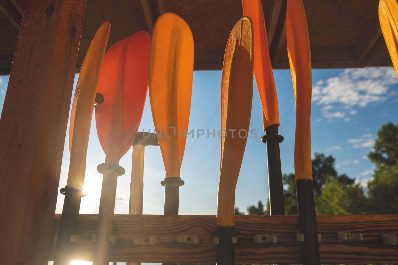 blades of paddles various colors , paddling concept by igor010