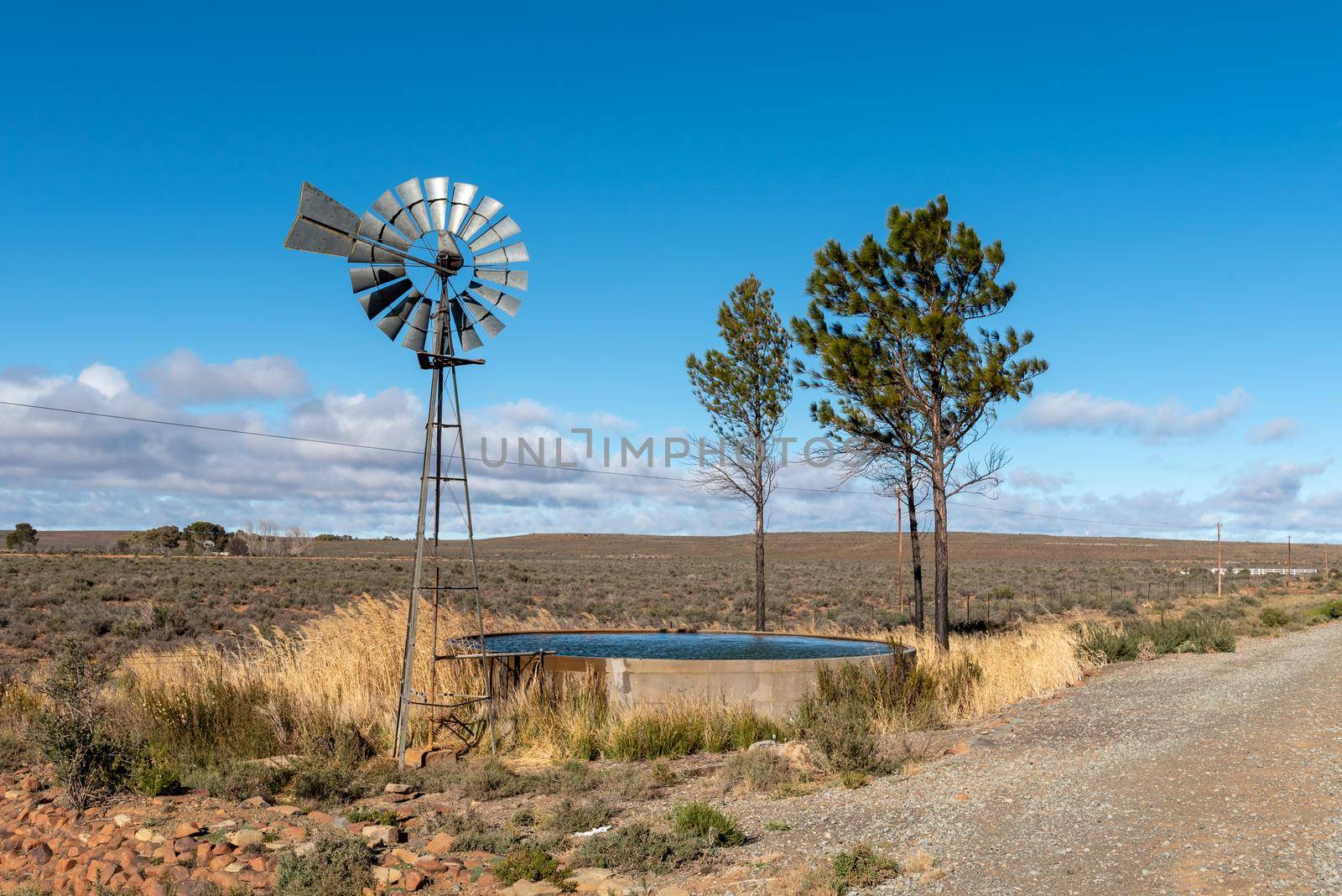 Landscape on road R63 between Victoria West and Loxton in the Northern Cape Province. A water-pumping windmill, trees and a dam are visible