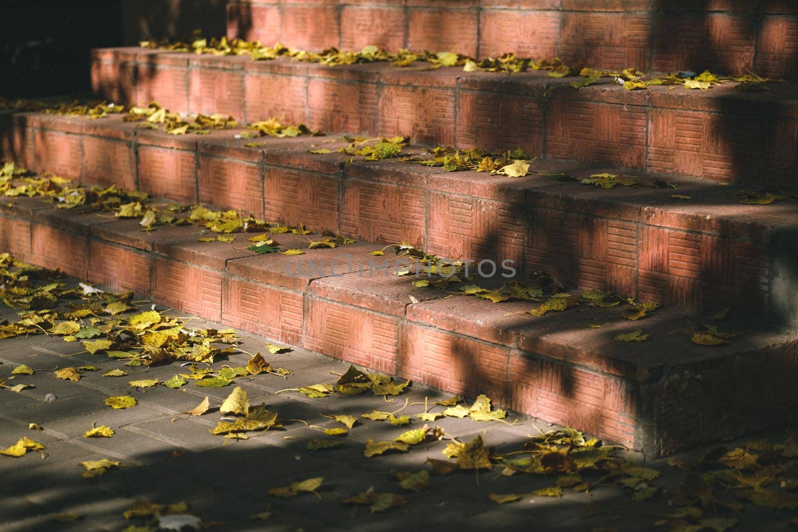 background texture of yellow leaves autumn leaf background, Yellow and orange autumn leaves, Colorful leaves at stairs by igor010