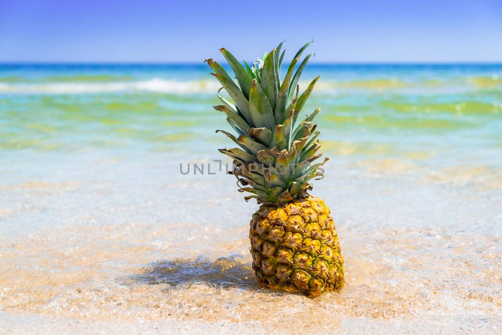 Pineapple on the beach. Pineapple fruit in the sea waves. Leisure in summer and Summer vacation concept. High quality photo