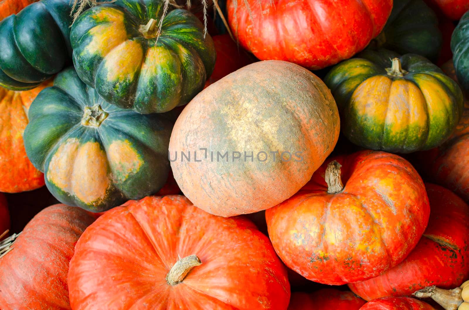 Halloween pumpkin. Pumpkin on a background of hay in a rustic style. Background for Halloween. Place for text.