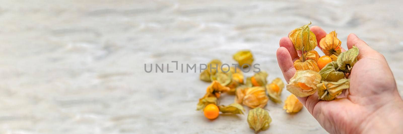 Physalis in hand. In the palm of your hand are sweet yellow physalis berries. Ripe physalis fruits lie in the background. Place for your text. Big banner. by SERSOL