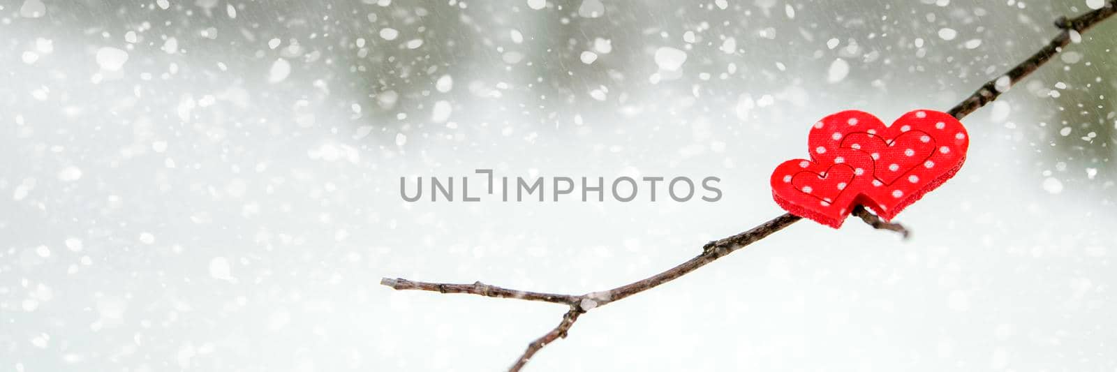 Happy Valentine's Day greeting card or banner. Red hearts on a branch of a snow-covered tree in winter. Holidays Happy Valentine's Day. Snowfall on the background of the forest by SERSOL