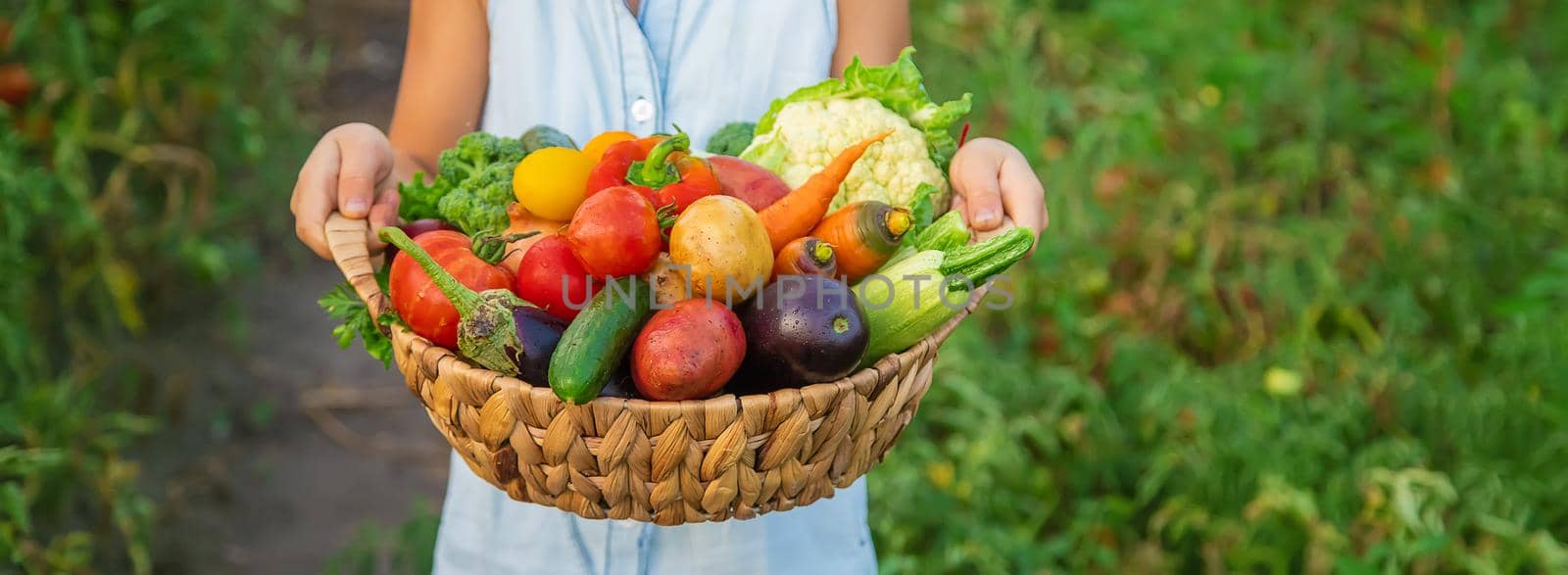 A child holds a harvest of vegetables in his hands. Selective focus. by yanadjana