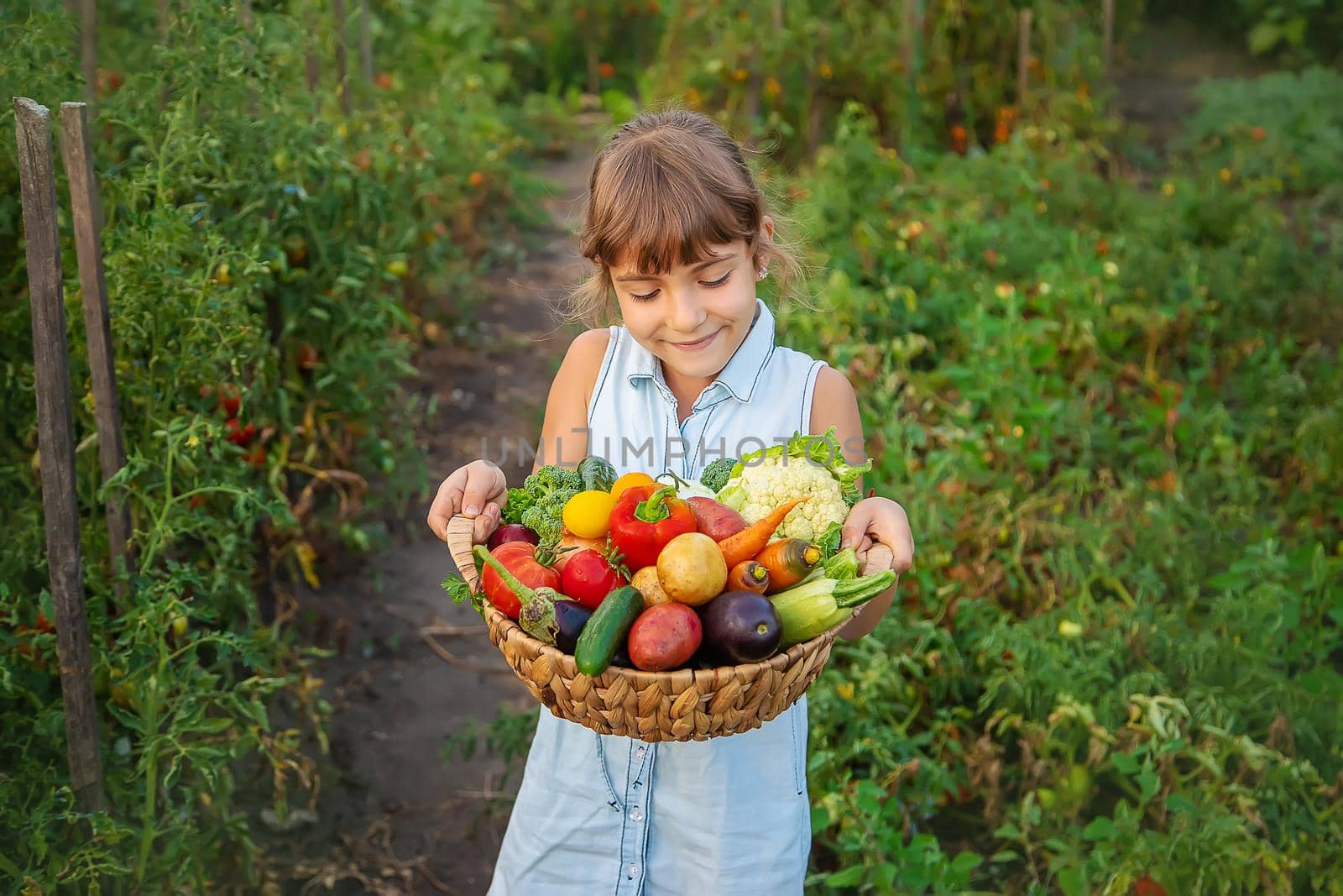 A child holds a harvest of vegetables in his hands. Selective focus. by yanadjana