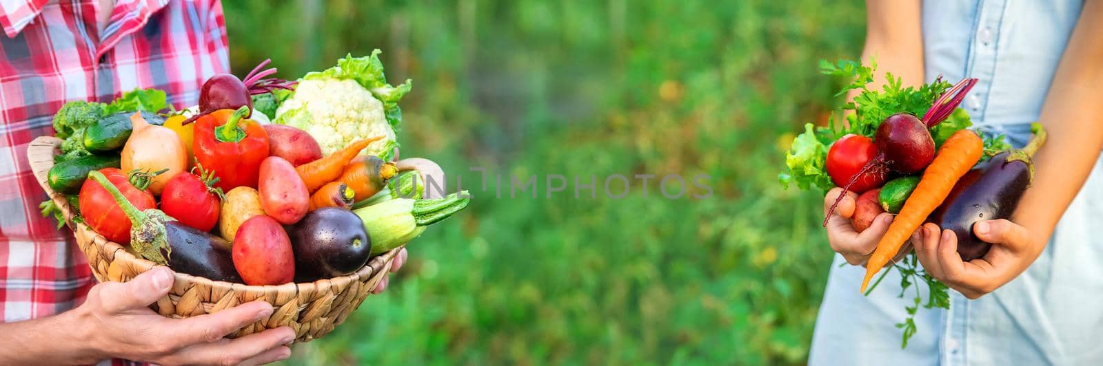 A child holds a harvest of vegetables in his hands. Selective focus. nature.