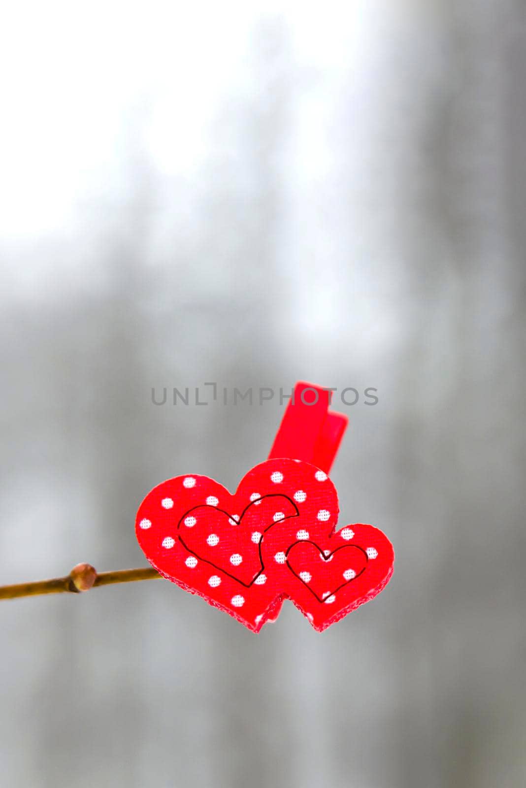 Valentine's Day. 2 red hearts hang on a tree branch in winter against the background of a winter forest. Congratulatory banner or postcard happy valentine's day