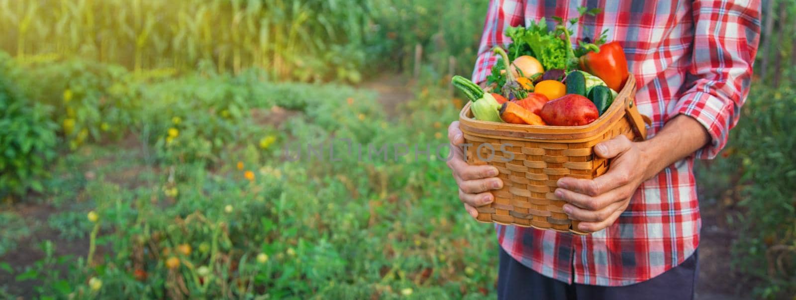 A man farmer holds a harvest of vegetables in his hands. Selective focus. nature.