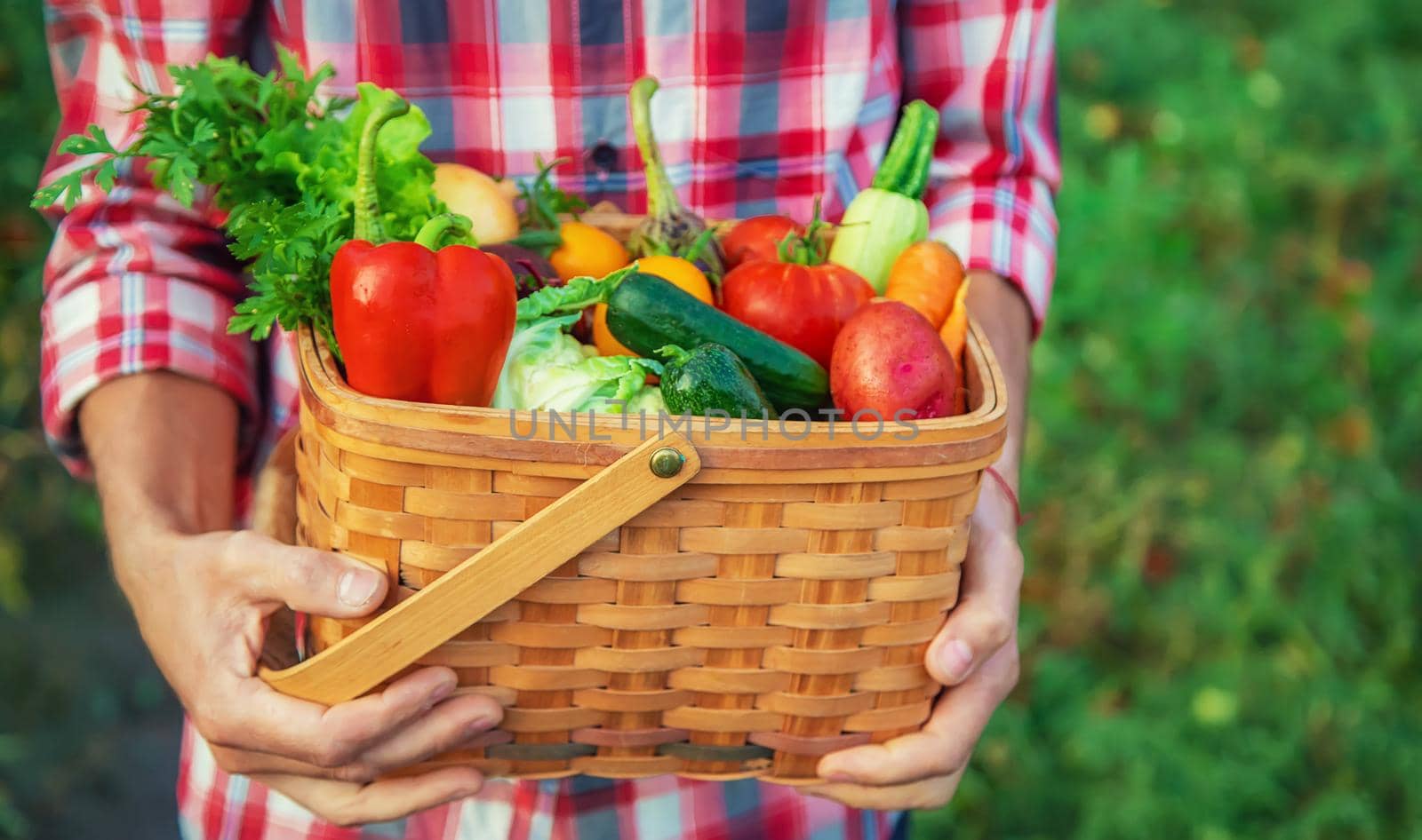 A man farmer holds a harvest of vegetables in his hands. Selective focus. nature.