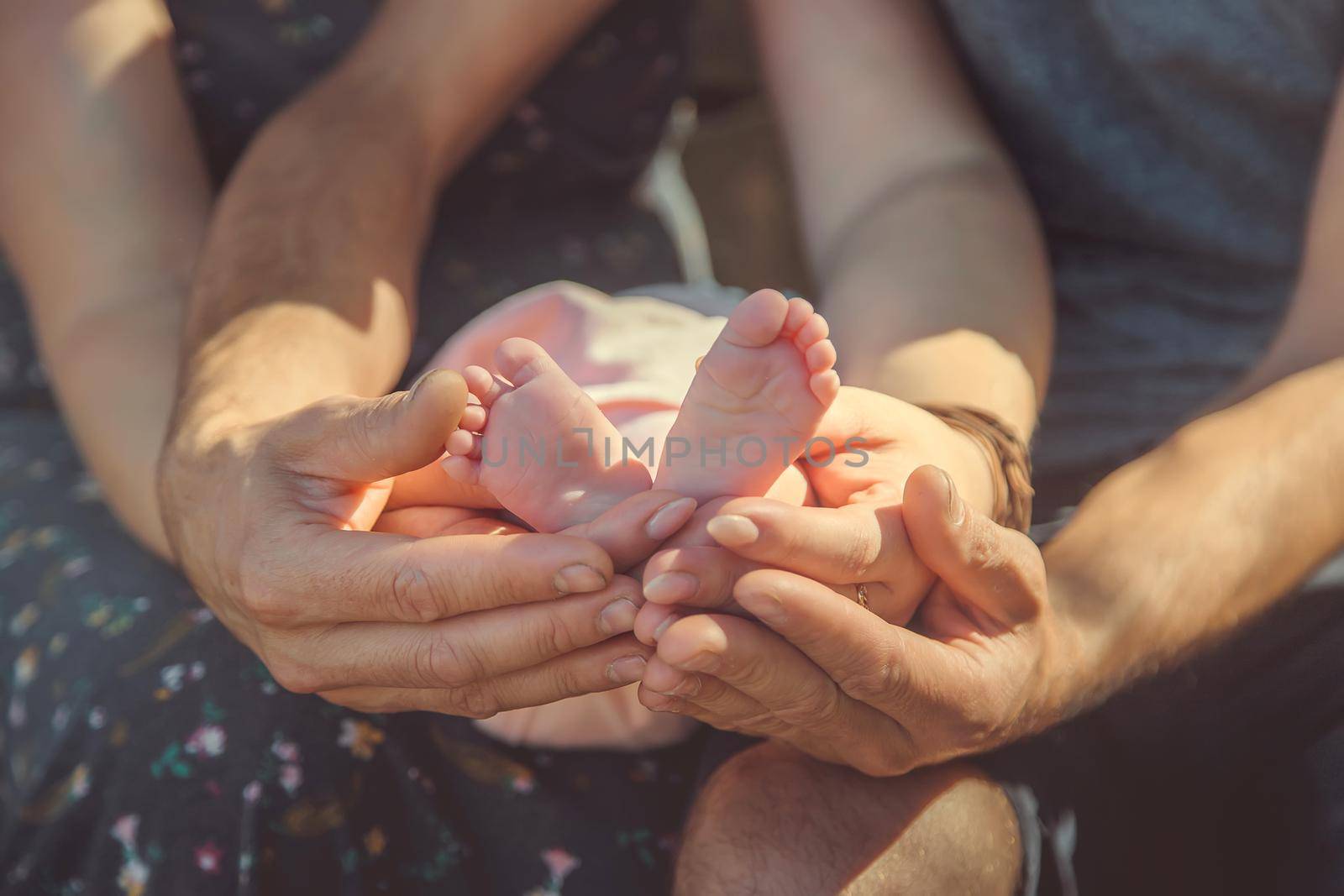 Parents are holding a newborn in nature. Selective focus. Peoploe.