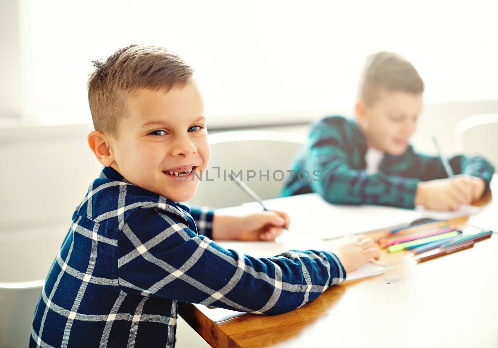 portrait of two boys brothers doing their homework at home