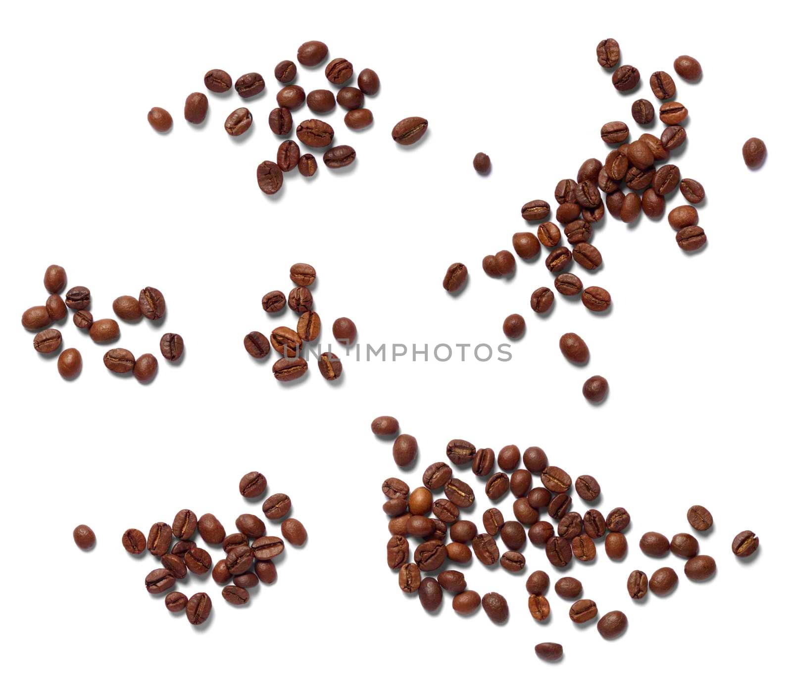 close up of a coffee beans on white background