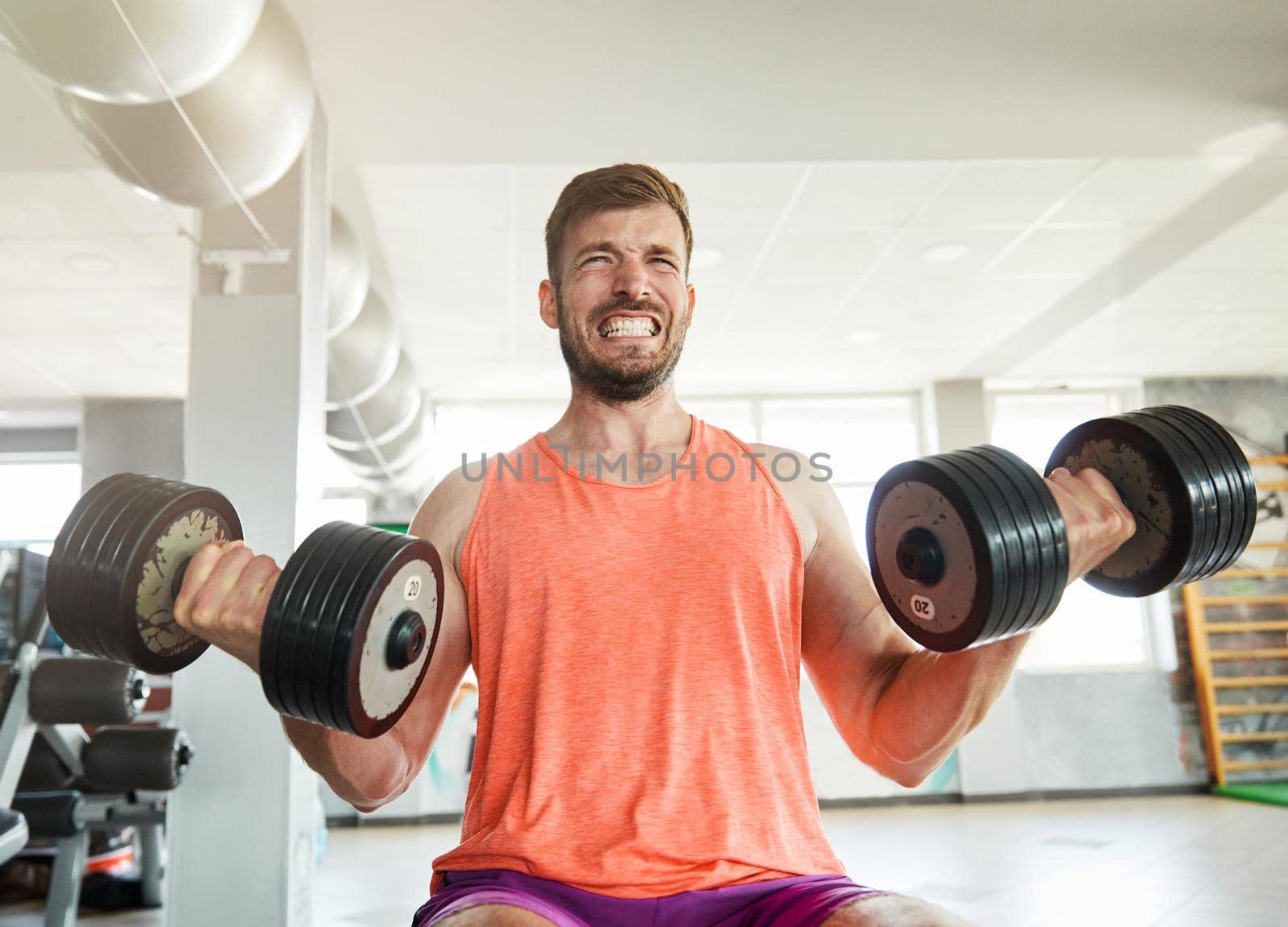 Portrait of healthy fit man at the gym exercising lifting weights