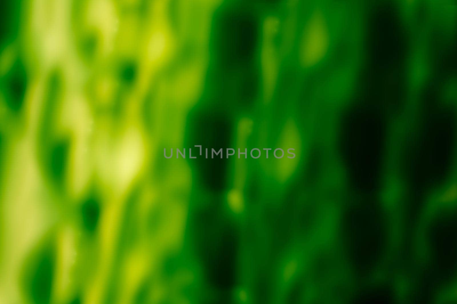 Acid abstract background in green tones. A soft blur of bright fluidity. Backdrop