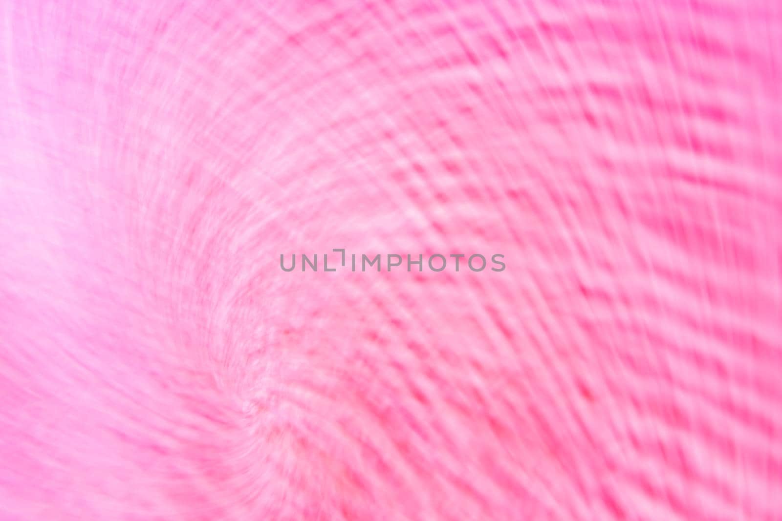 Abstract background banner, pink swirl, small waves, ripples. Backdrop