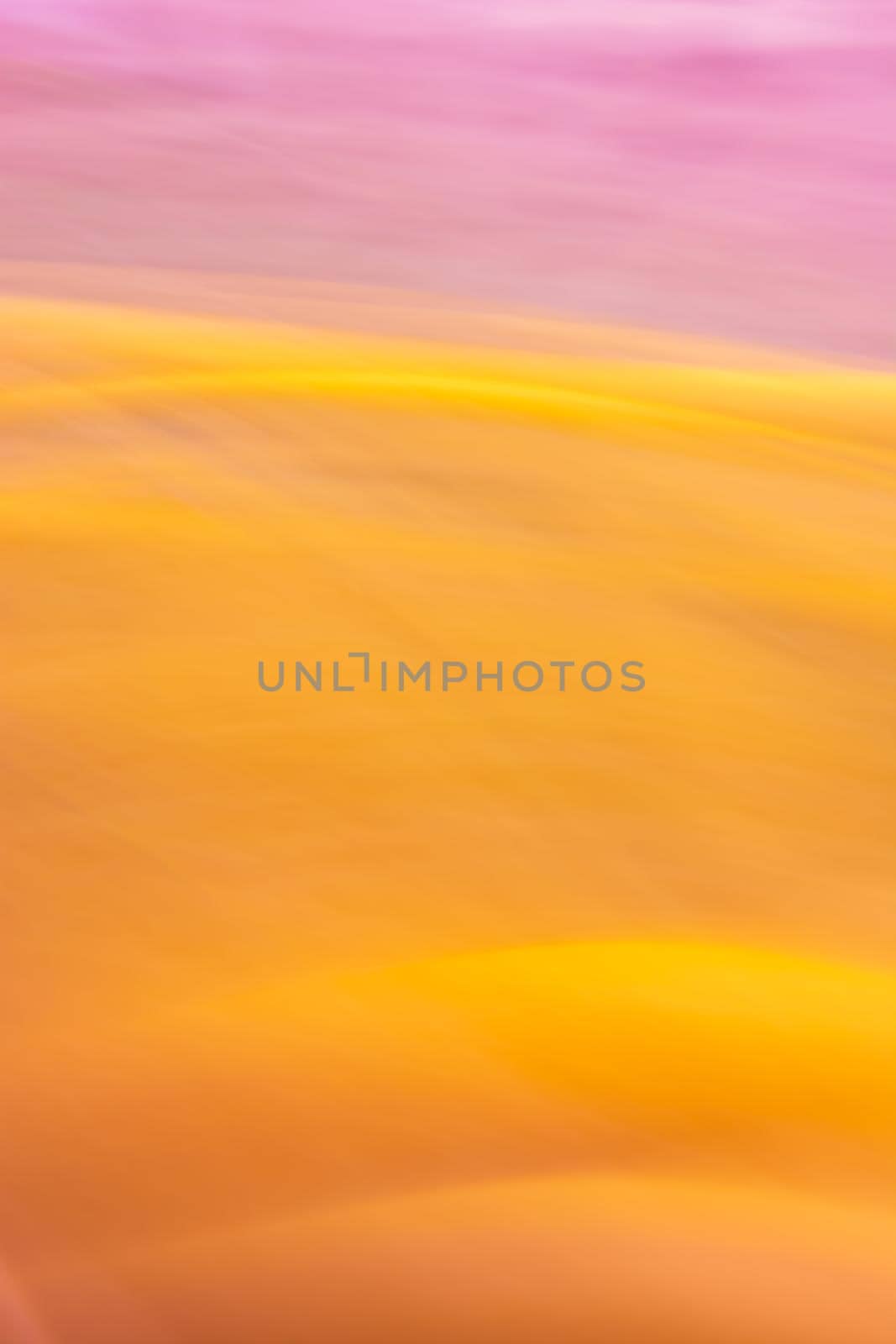 Vertical background orange pink with waves. Abstraction on the edge of a star. Backdrop