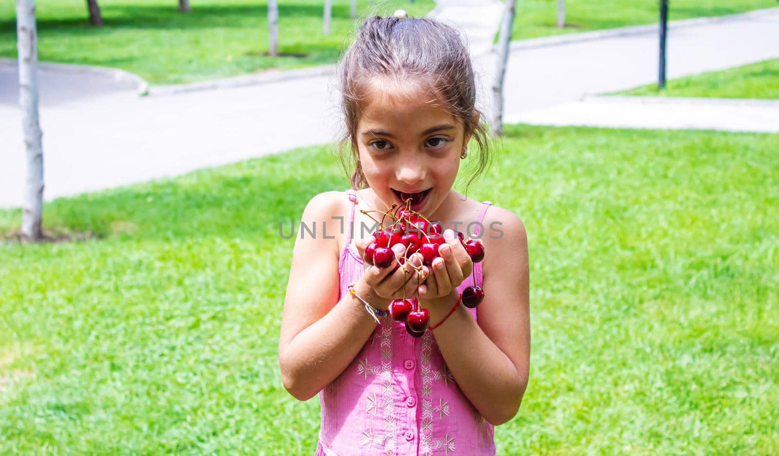 A child harvests cherries in the garden. Selective focus. Food.