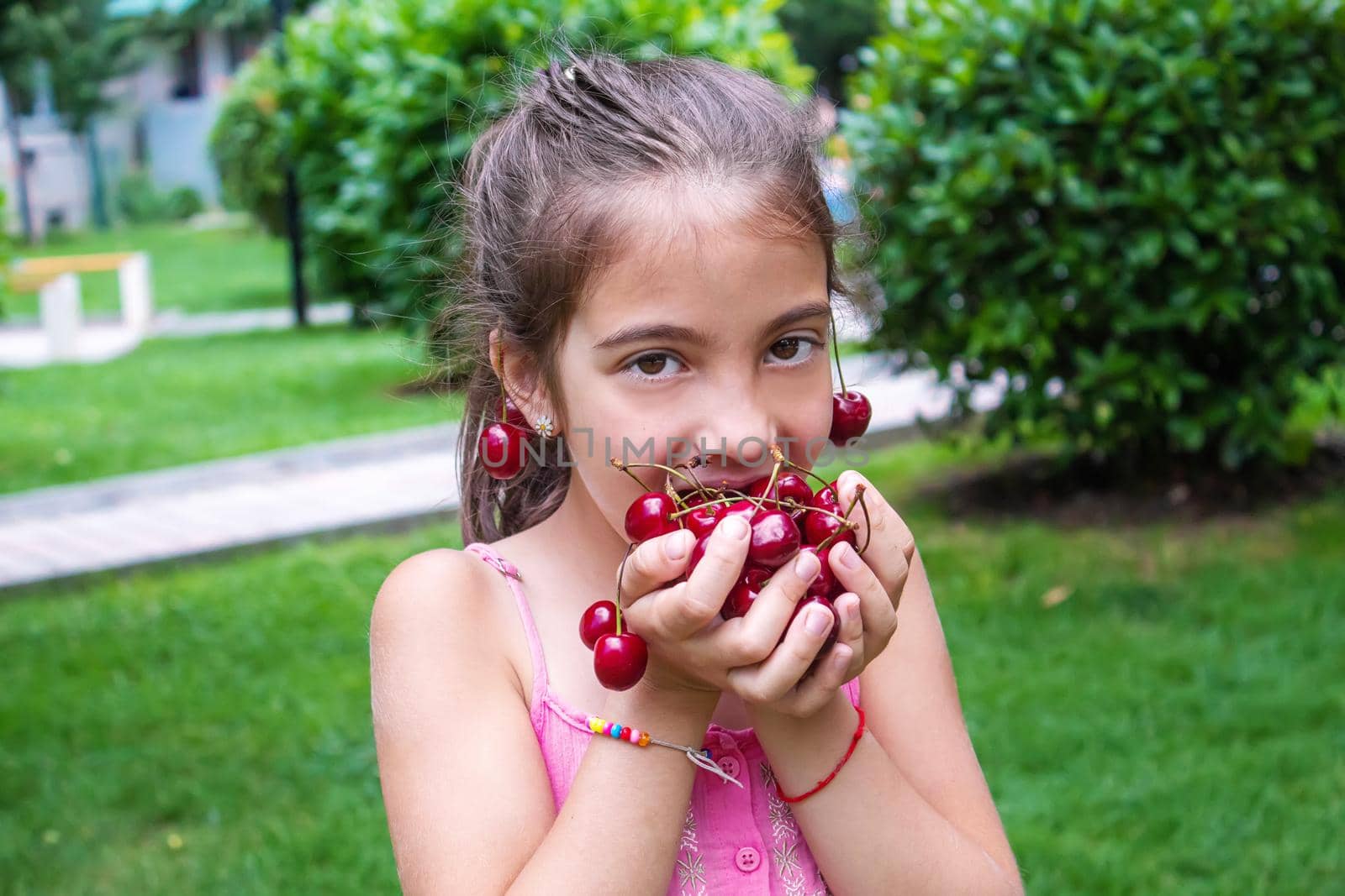 A child harvests cherries in the garden. Selective focus. Food.