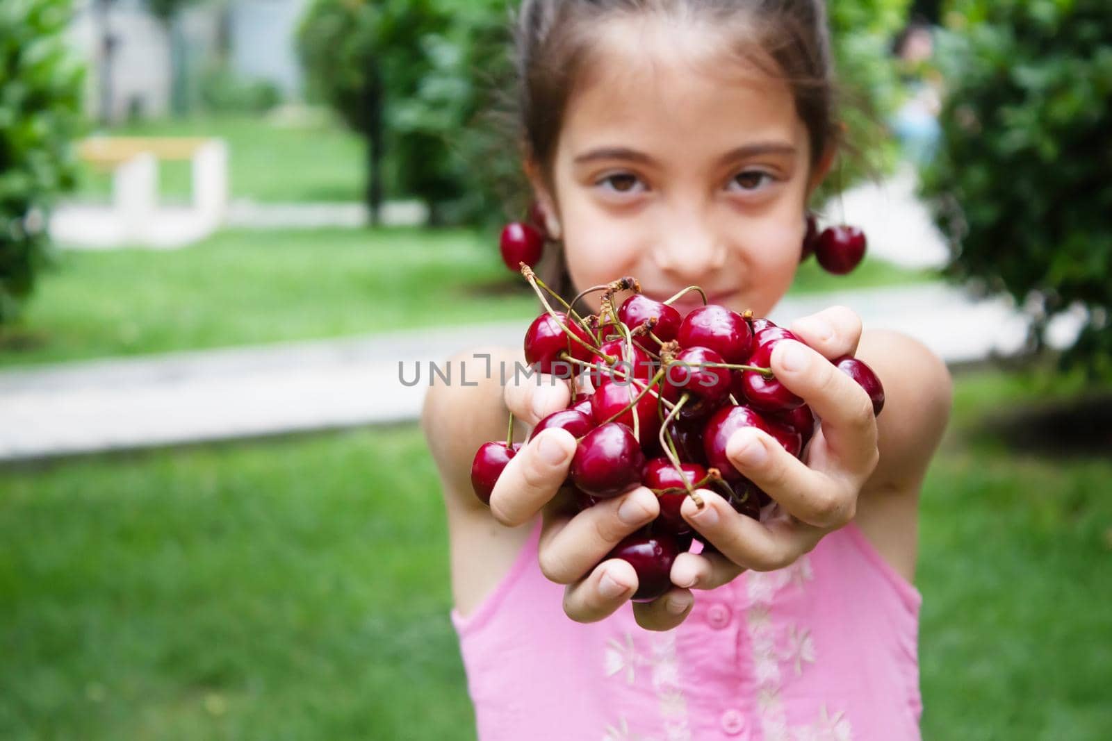 A child harvests cherries in the garden. Selective focus. Food.