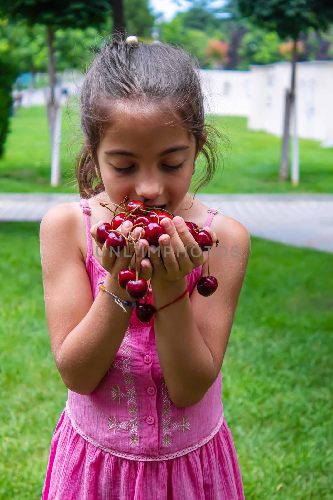 A child harvests cherries in the garden. Selective focus. Food.