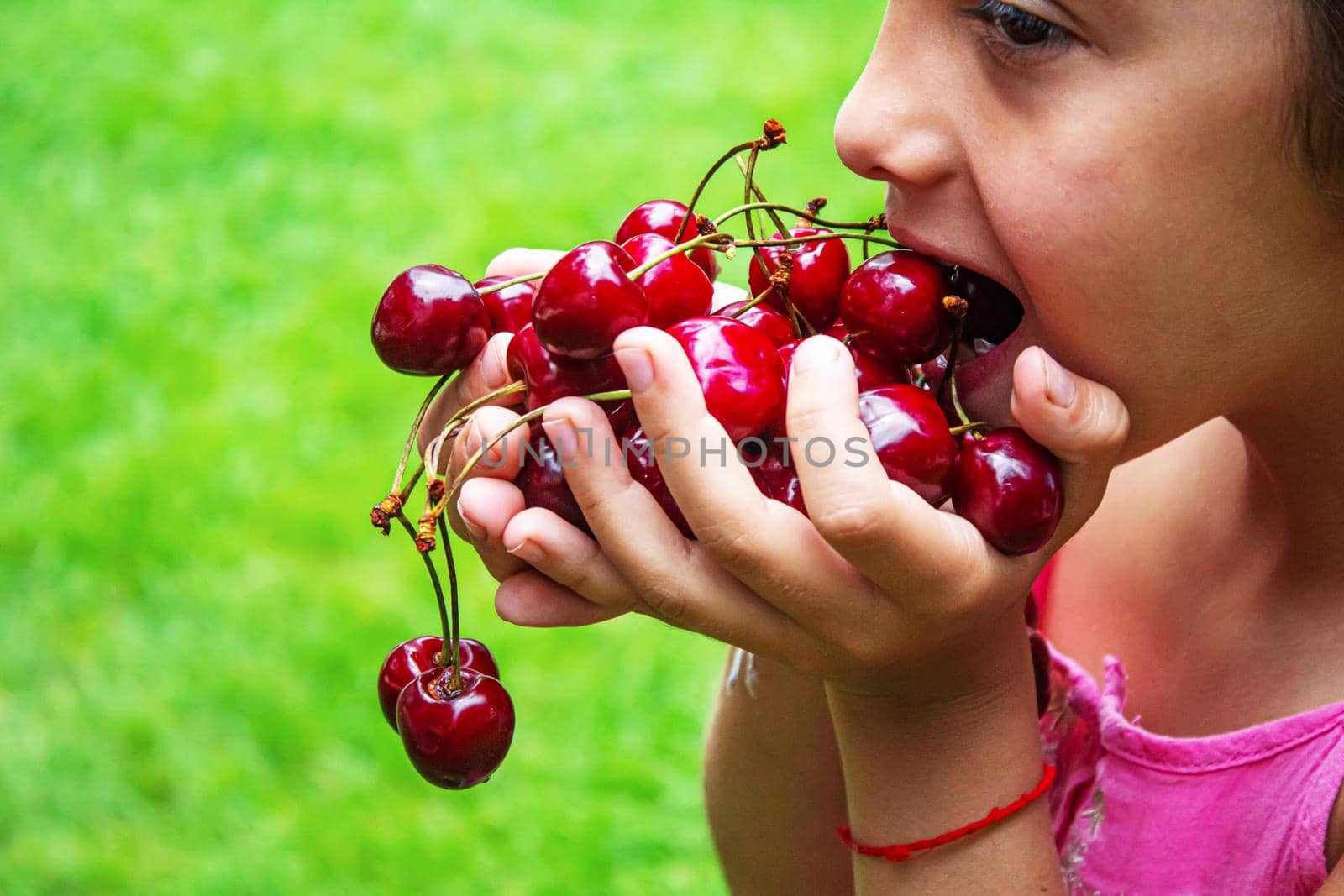 A child harvests cherries in the garden. Selective focus. Food.