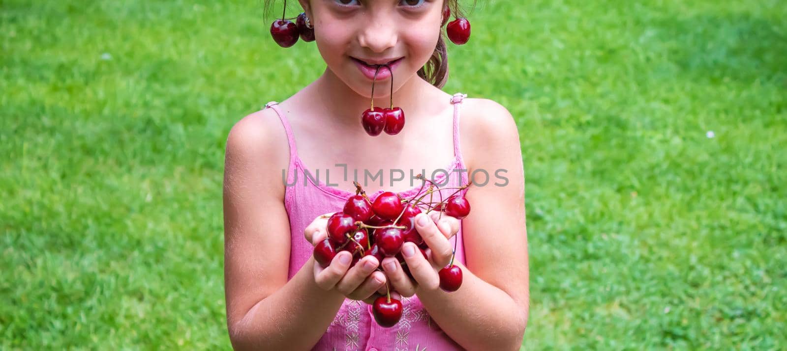 A child harvests cherries in the garden. Selective focus. Food.