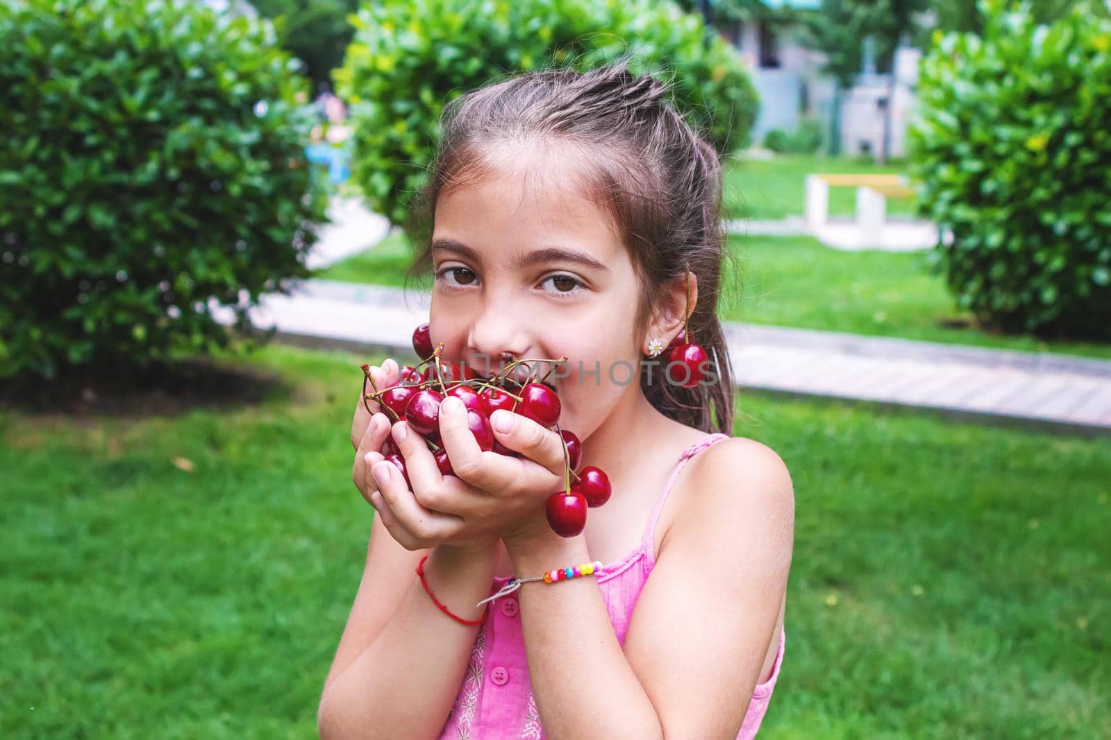 A child harvests cherries in the garden. Selective focus. Food.